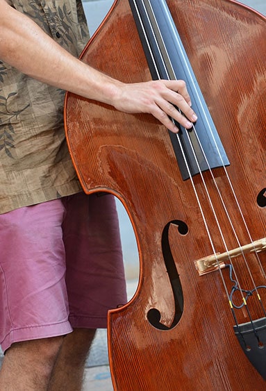 music lessons DOUBLE-BASS music lessons DOUBLE-BASS