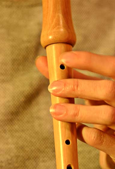 music lessons recorder music lessons recorder