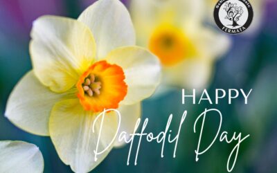 Happy Daffodil Day from #FermataTeam