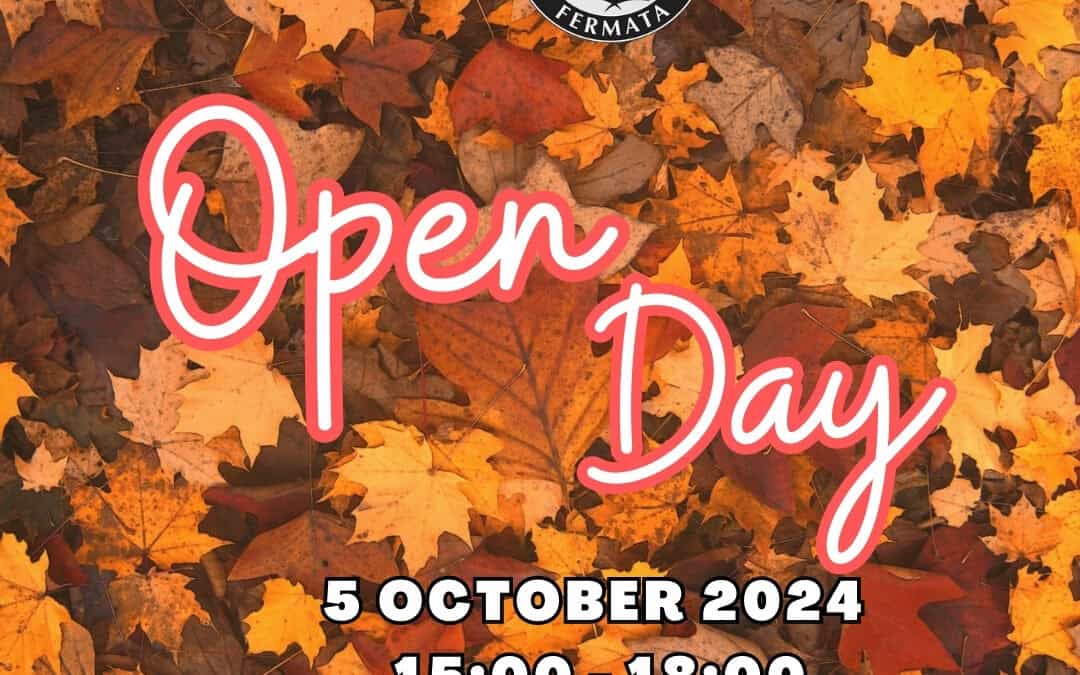 Aa poster of a Fermata Music School Open Day 2024